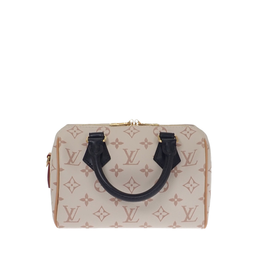 Pre-Loved Louis Vuitton Monogram Dune Speedy Bandouliere 20
